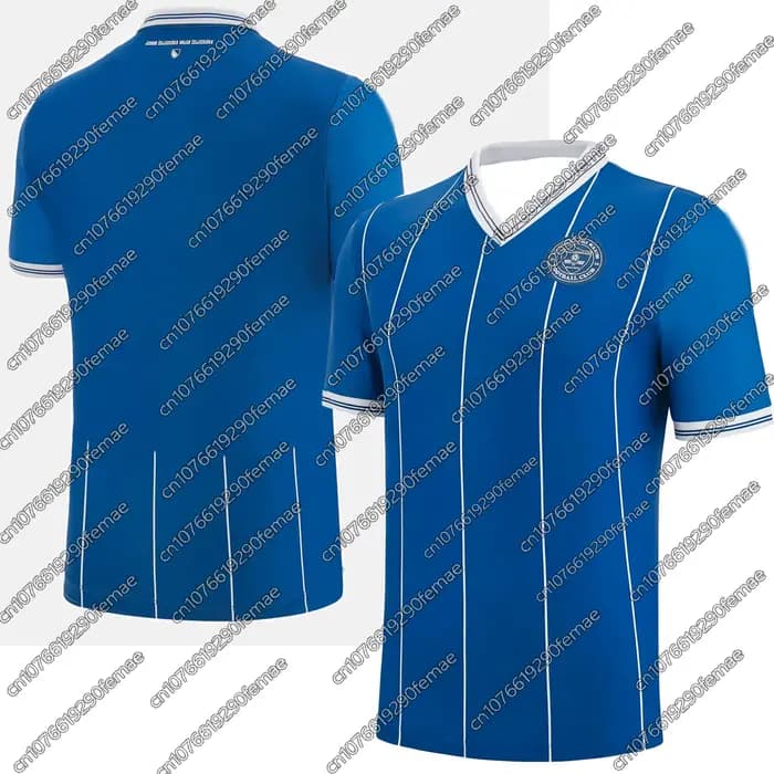 Maillot de football domicile Bosnie 2026 pour supporters, T-shirt imprimé FK Zeljeznicar, Nouveau, é