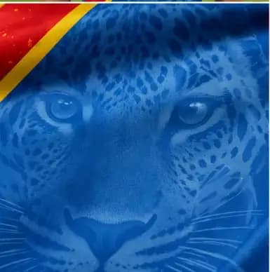 Maillot de supporter de la République démocratique du Congo 2026, idéal pour le cyclisme et la randonnée
