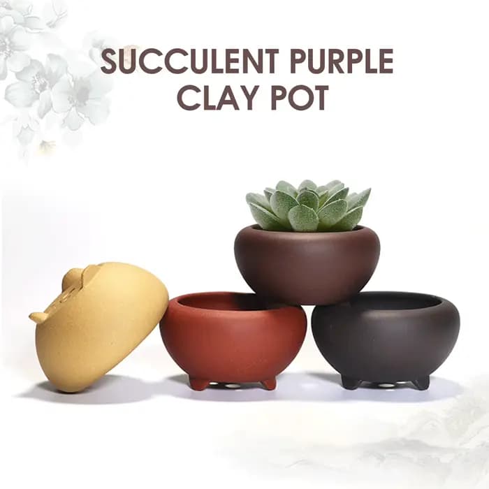 Pots de jardinière de jardin en céramique, Pot de fleur rond d'orchidée succulente pour plantes de fleurs d'intérieur et d'extérieur, Pot de fleur avec trous