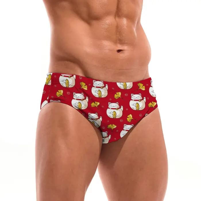 Maillot de bain triangle Lucky Cat Ginkgo pour homme, coupe ajustée, durable, avec cordon de serrage