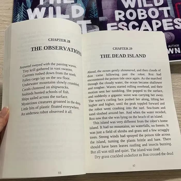 3 livresLe robot sauvage de Peter Brown Livre de poche en anglais