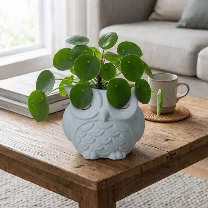 Pot à plantes unique en céramique en forme de hibou, joli pot décoratif pour oignon vert, pot à fleurs résistant à la corrosion, pot à cactus pour patio
