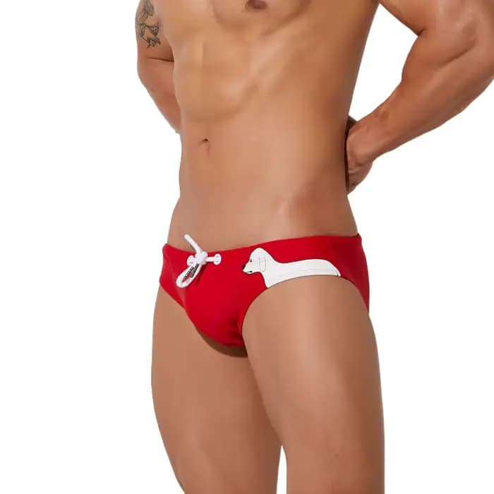 Maillot de bain sexy pour homme, slip de plage, bikini imbibé