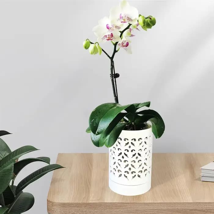 Pots d'orchidées avec trous, pot d'orchidée en céramique de 4 pouces pour le rempotage, pot de jardinière de fleurs d'intérieur et d'extérieur, blanc respirant