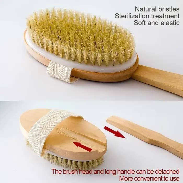 Brosse de douche détachable pour le dos