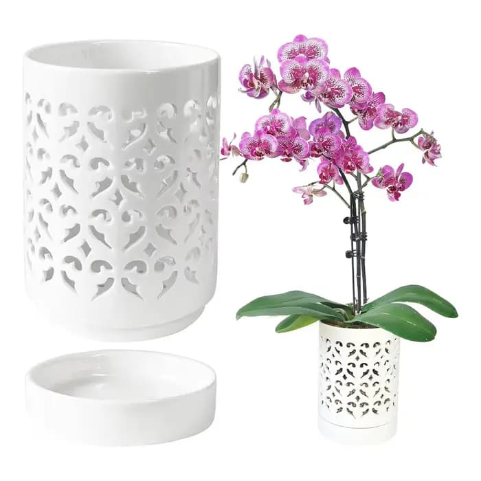 Pots d'orchidées avec trous, pot d'orchidée en céramique de 4 pouces pour le rempotage, pot de jardinière de fleurs d'intérieur et d'extérieur, blanc respirant