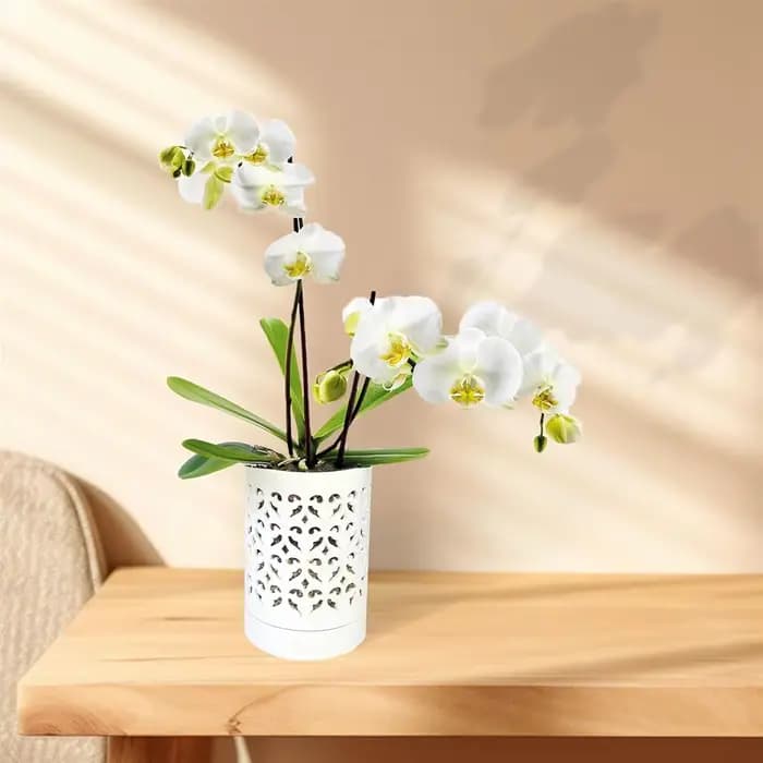 Pots d'orchidées avec trous, pot d'orchidée en céramique de 4 pouces pour le rempotage, pot de jardinière de fleurs d'intérieur et d'extérieur, blanc respirant