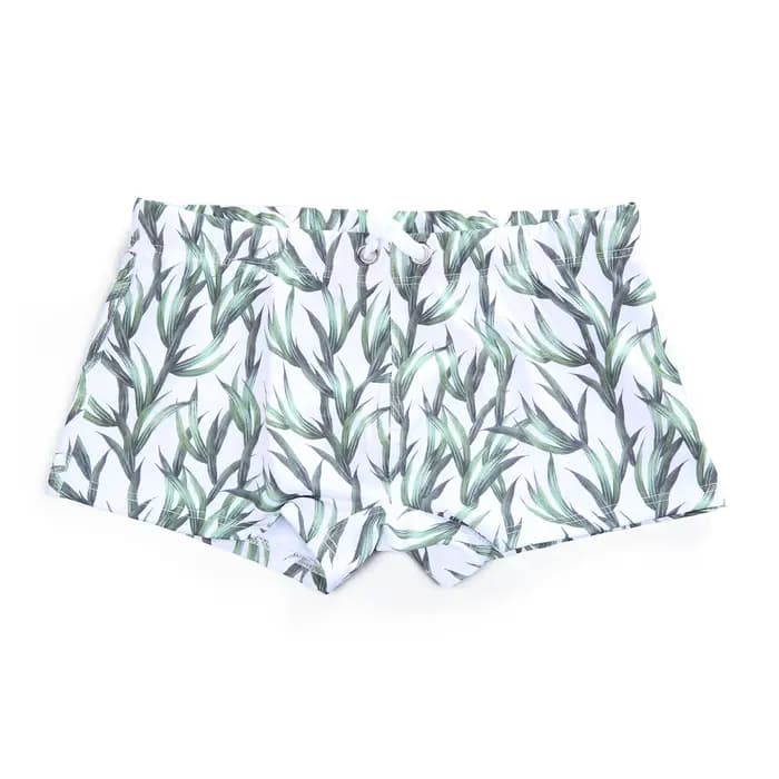 Boxers de bain hommes maillots de bain taille basse Sexy maillot de bain short de bain troncs maillot de bain vente chaude Sunga hombre maillots de bain